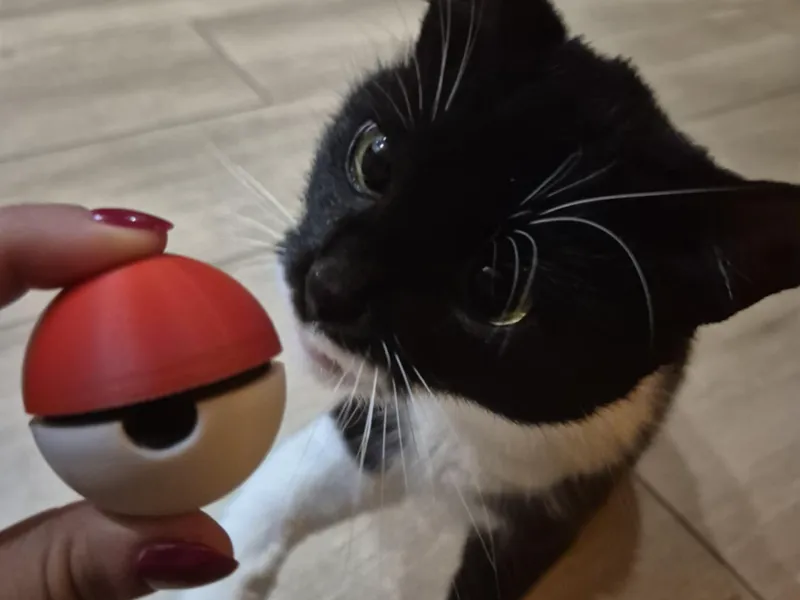 Cat Treat Toy - Pokeball