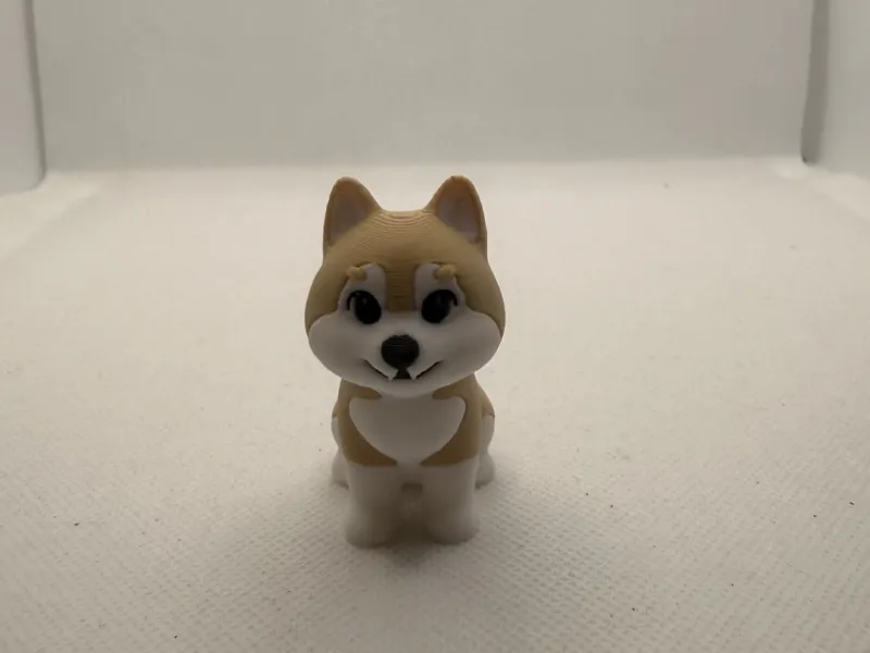 Husky Hero Arka Dog