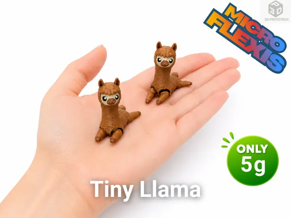 https://makerworld.bblmw.com/makerworld/model/US23d94dddfcbaee/design/f1027fe68f12d210.png