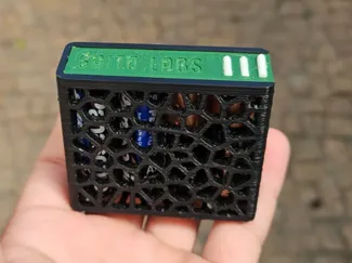 AA Battery Case Voronoi