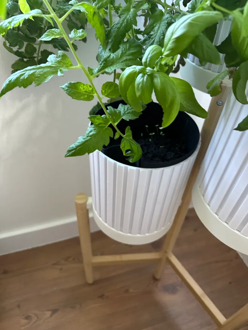 IKEA SATSUMAS self-watering planter