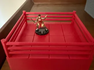 Wrestling Ring for DND
