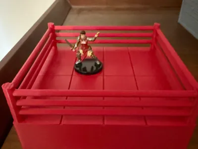 Wrestling Ring for DND
