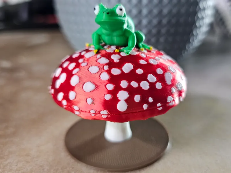 frog on mushroom