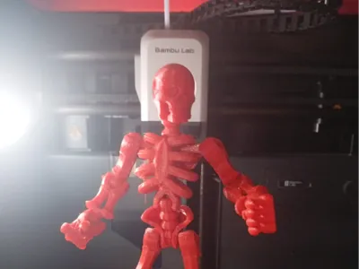 Articulated skeleton toy