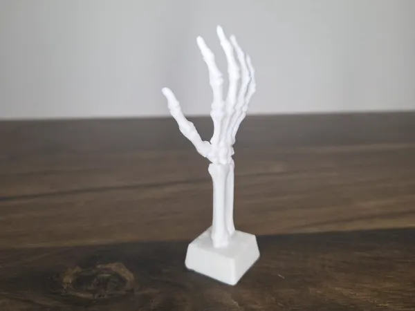 https://makerworld.bblmw.com/makerworld/model/US23e7b998374b54/design/2025-10-06_474a0f30973a7.jpg