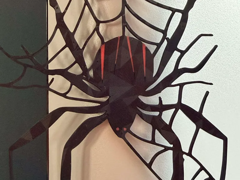 Spider