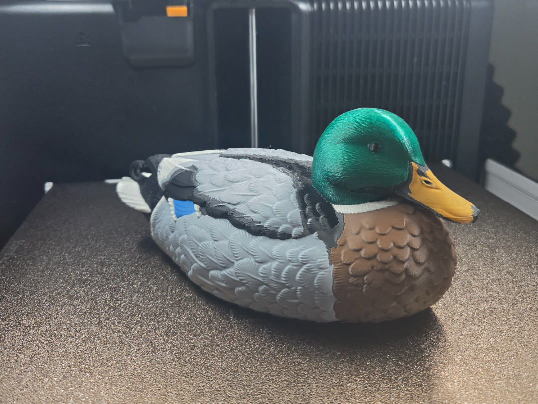 mallard decoy 8 color - 1