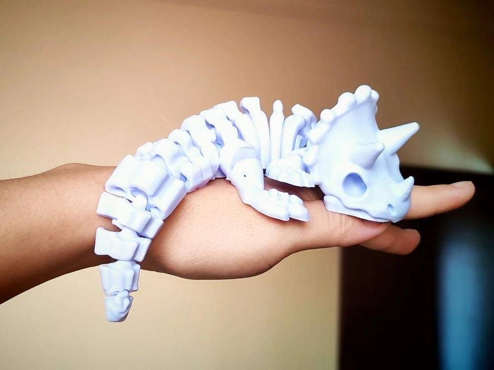 Flexi Articulated Triceratops Skeleton - 1