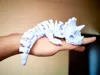 0.16mm layer, 2 walls, 15% infill