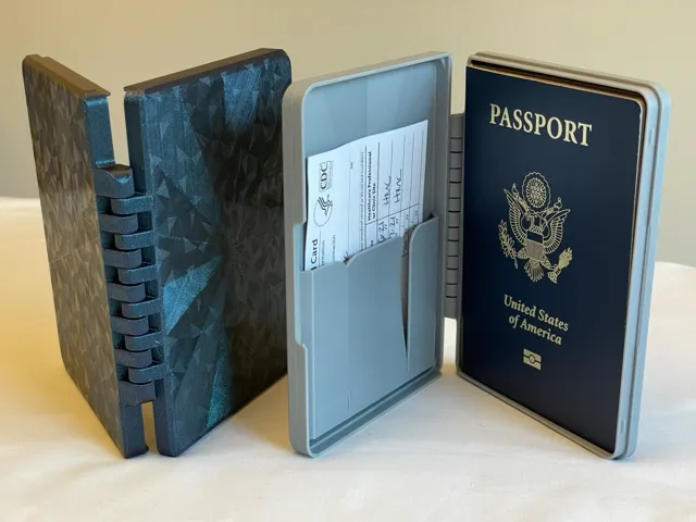 Sleek Passport Case