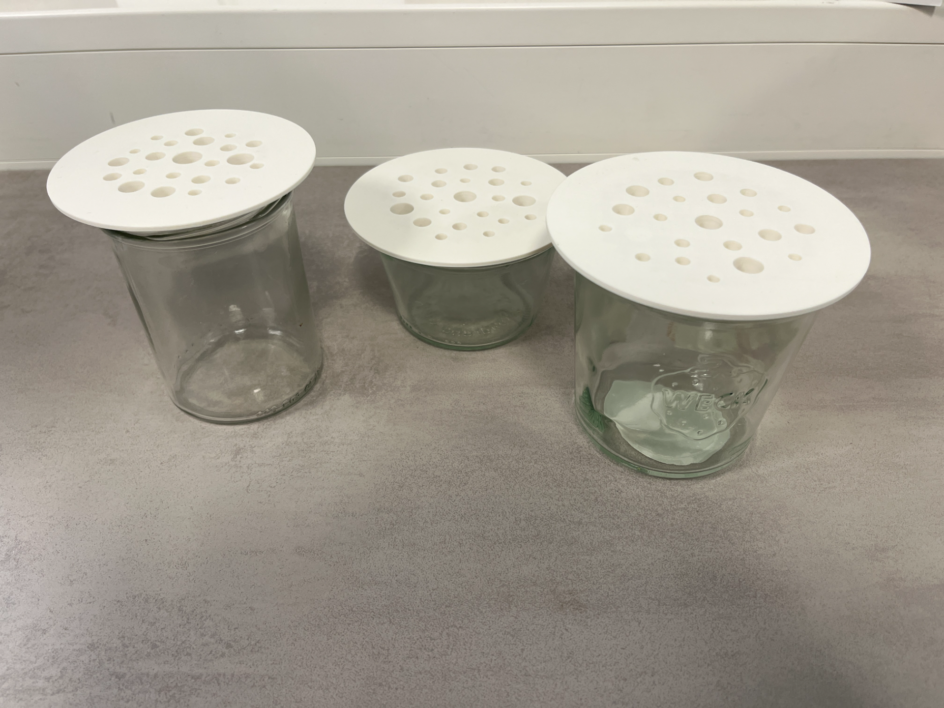 Blumenretter für WECK Glas und kleiner