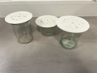Flower frog for WECK jar and small