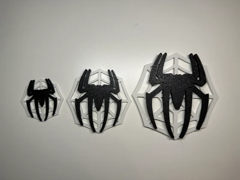 Spider with cobweb