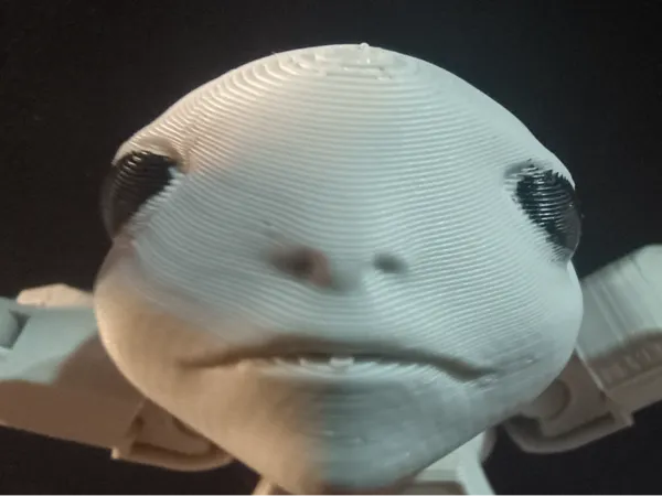 https://makerworld.bblmw.com/makerworld/model/US23f80ce8a366b8/design/2025-05-09_7302f1c0f81e2.jpg