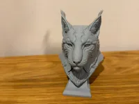 0.12mm layer, 3 walls, 15% infill