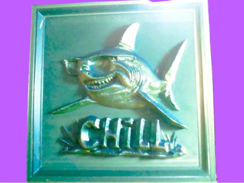 Chill Shark!