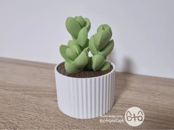 https://makerworld.bblmw.com/makerworld/model/US23ff3a031ce0d9/design/2025-01-26_8010cc5a220a.png