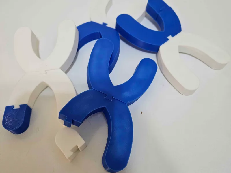 Chromosome Model