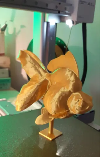 gold fish