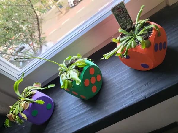 https://makerworld.bblmw.com/makerworld/model/US240a0f4890859d/design/2024-11-14_af29c92f8a9bd.jpg