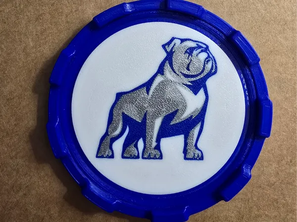 https://makerworld.bblmw.com/makerworld/model/US240b200ba9fe5f/design/2025-05-18_6cf9cd849a4a8.jpg