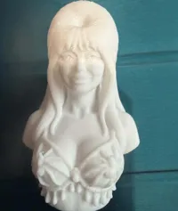 0.16mm layer, 2 walls, 15% infill