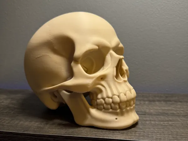 https://makerworld.bblmw.com/makerworld/model/US240d26c903051/design/2025-08-12_22797c6f818ec8.jpg