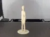 0.16mm layer, 2 walls, 15% infill