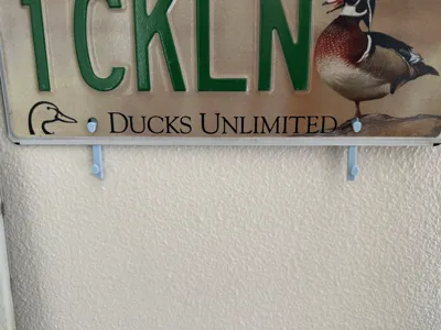 License plate hangers