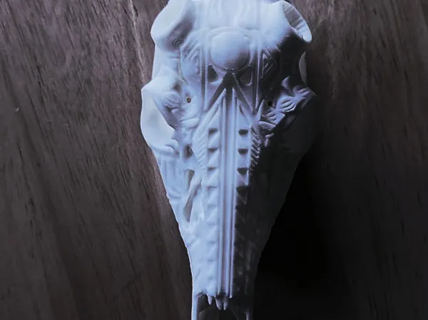 https://makerworld.bblmw.com/makerworld/model/US2421912dc7b077/design/2f9fac2802fb029a.jpg