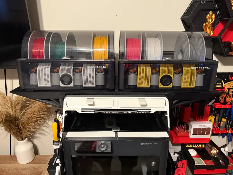 Dual AMS Extension for P1S Riser V2