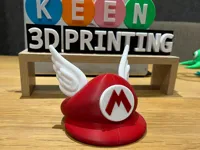 0.16mm layer, 3 walls, 10% infill