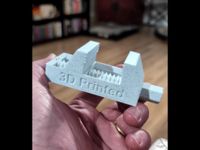 0.2mm layer, 2 walls, 30% infill