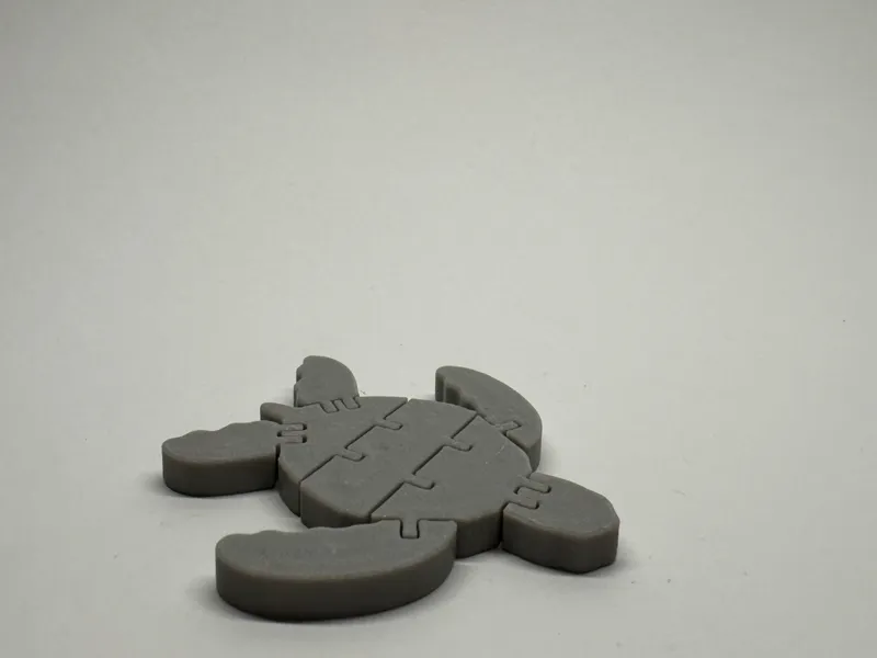Articulated Turtle