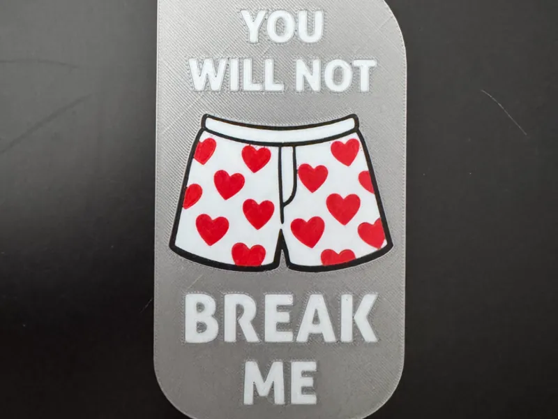 DCC - You Will Not Beak Me door hanger