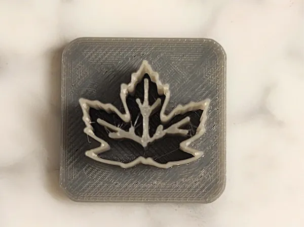https://makerworld.bblmw.com/makerworld/model/US242fabd275eddc/design/2024-12-04_c28c75f0f1b64.jpg