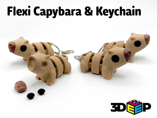 https://makerworld.bblmw.com/makerworld/model/US2430ce5c3a3db7/design/2025-01-09_a4716377e8c55.png