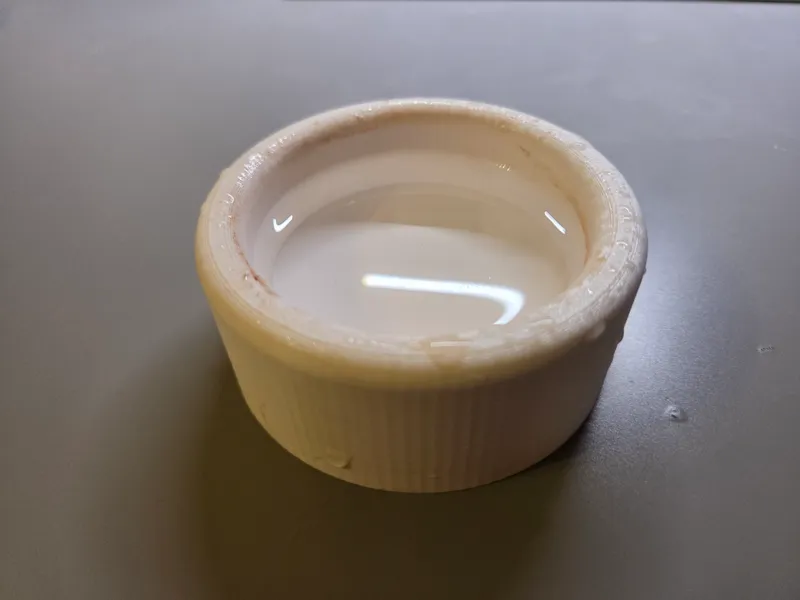 Quail or other small bird Bowl 