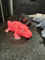 0.16mm layer, 3 walls, 10% infill - Painted Eyes - Body