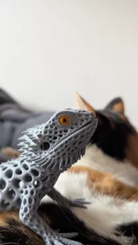 coloured eye
