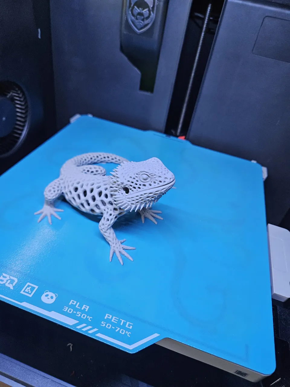 Voronoi Bartagame – Detail trifft Design view 3