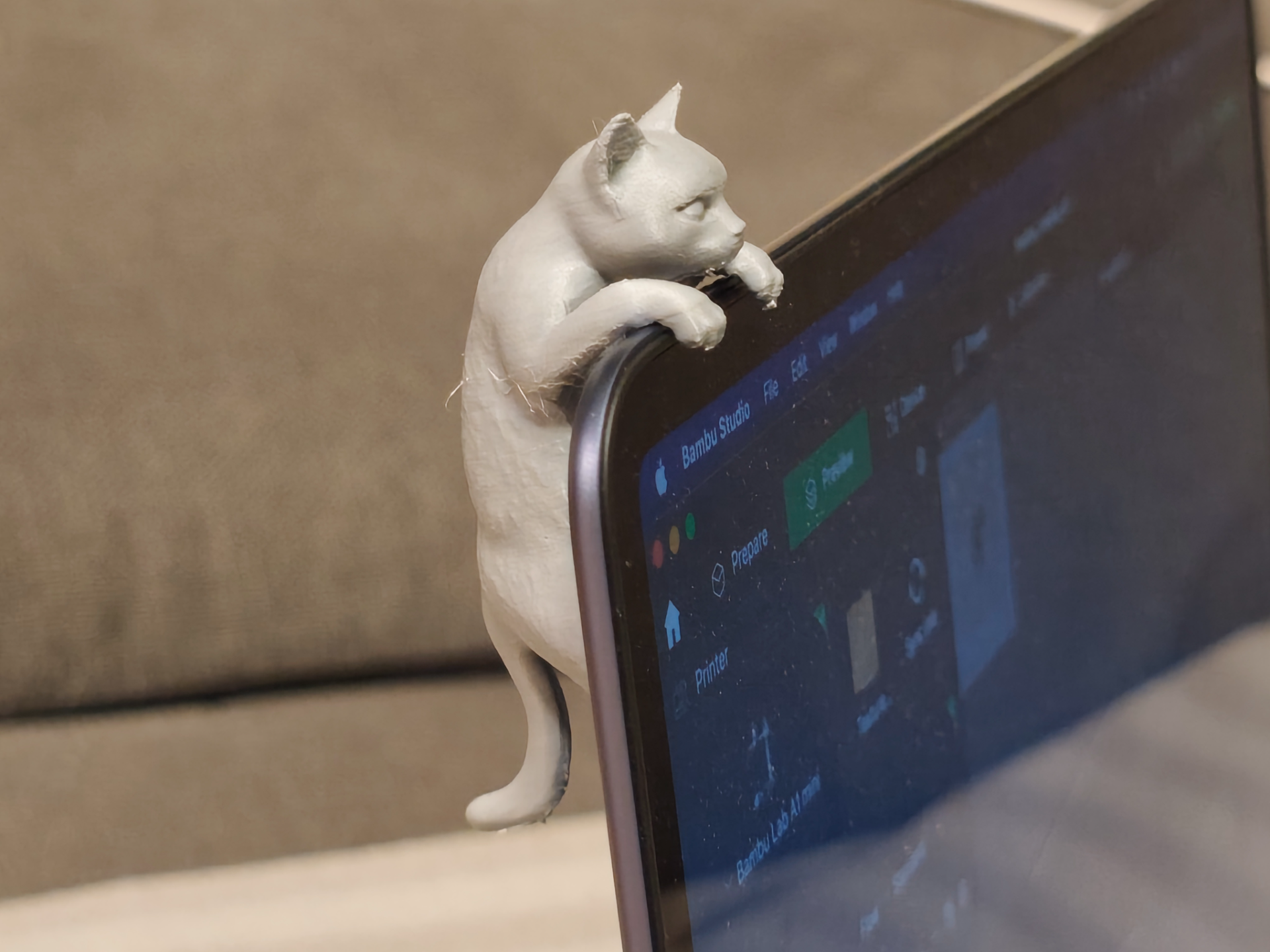 Hanging Cat - Laptop/Phone/TV Buddy