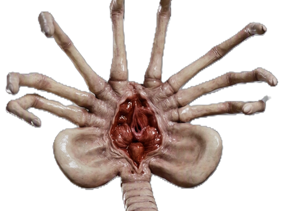 The Facehugger – Biomechanical Parasite