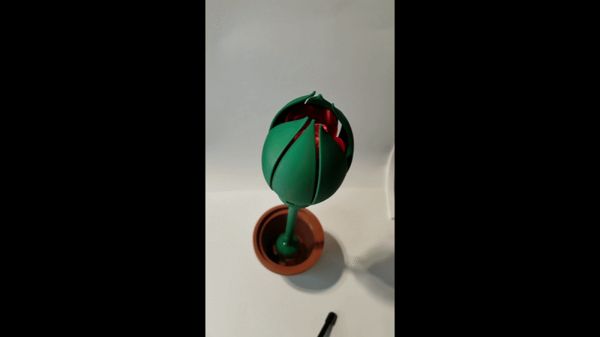 https://makerworld.bblmw.com/makerworld/model/US243c76fa939615/design/2025-02-07_8a384757d524d.gif