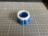 AMS Model