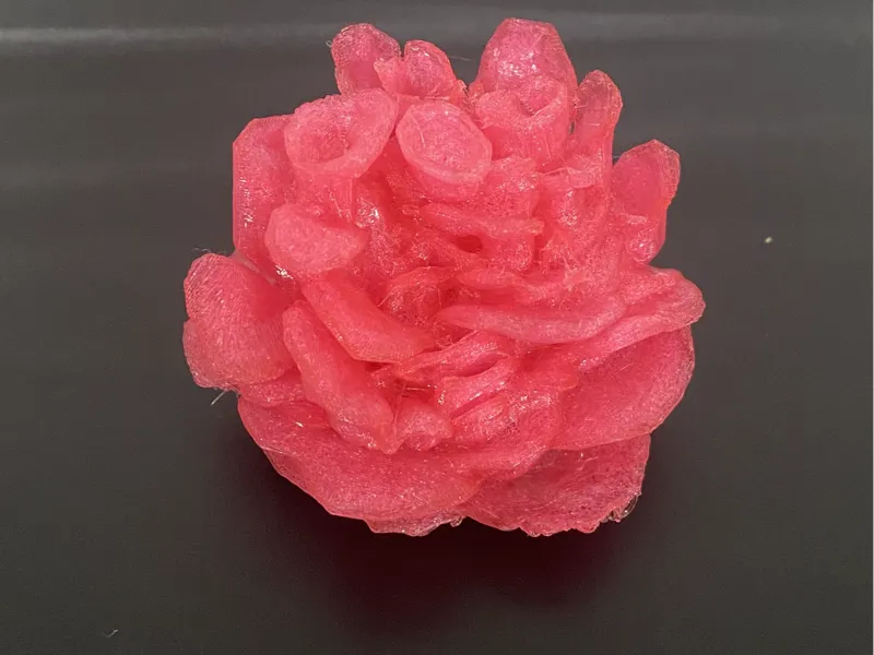 Pink Oyster Mushroom 3D Model  - STL and 3MF