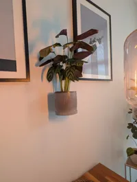 Small Version