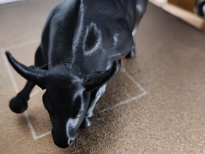 Toro