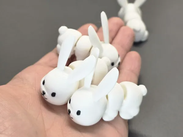 https://makerworld.bblmw.com/makerworld/model/US24426cf19987a/design/2025-03-05_e6406588fd583.jpg